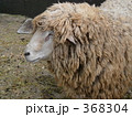 ひつじ