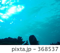 おだたかな海と静かな光