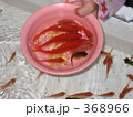 まさかの大漁！