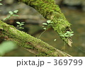 橋渡り