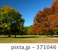 秋の公園