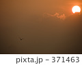 夕日に向かって飛ぶ