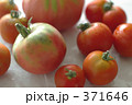 ふぞろいのトマトたち
