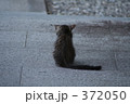 ひとり