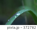 露