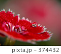 しずく