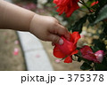 もみじとバラ