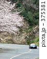 桜並木を走る