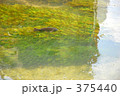栃木散歩:巴波川