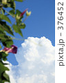 空と朝顔　２
