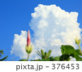 空と朝顔　１