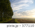 美瑛の静かな朝