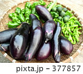 夏野菜