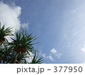 沖縄から