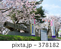青葉ヶ丘公園