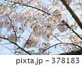 青葉ヶ丘公園