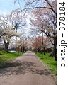 青葉ヶ丘公園