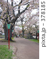 青葉ヶ丘公園