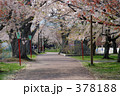 青葉ヶ丘公園
