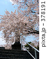 青葉ヶ丘公園