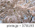 青葉ヶ丘公園