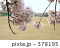 青葉ヶ丘公園