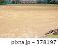 青葉ヶ丘公園