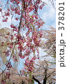 青葉ヶ丘公園