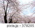 青葉ヶ丘公園