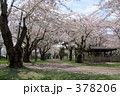 青葉ヶ丘公園