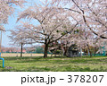 青葉ヶ丘公園