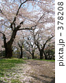 青葉ヶ丘公園