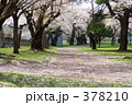 青葉ヶ丘公園