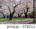 青葉ヶ丘公園