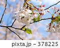 青葉ヶ丘公園