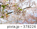 青葉ヶ丘公園