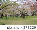 青葉ヶ丘公園