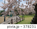 青葉ヶ丘公園