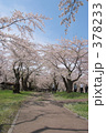 青葉ヶ丘公園