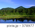 八甲田 夏の睡蓮沼