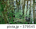 滝の頭（たきのがしら）－水辺