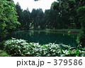 滝の頭（たきのがしら）湧水池－０１