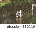池のカモ