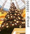クリスマスツリー