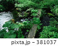 滝の頭（たきのがしら）湧水点(第二）－０２