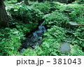 滝の頭湧水点(その１）