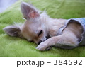 うとうとおねむ