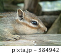 ひと休み