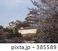 桜と姫路城