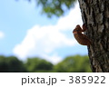 青空とセミの抜け殻